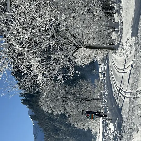 Claudia By Interhome Apartament *