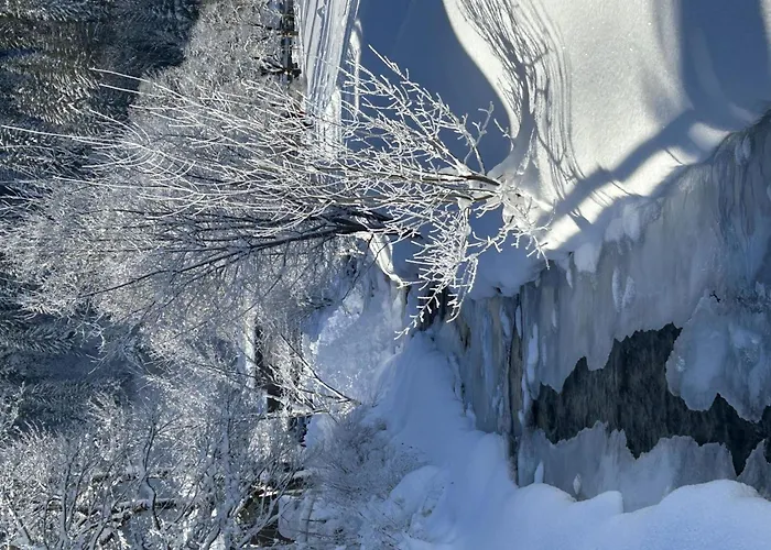 Claudia By Interhome Lejlighed