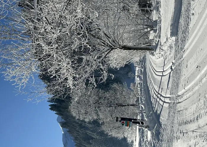 Claudia By Interhome Lejlighed *