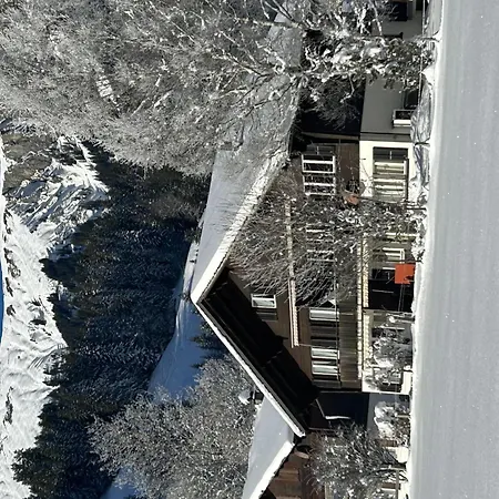 Apartamento Claudia By Interhome